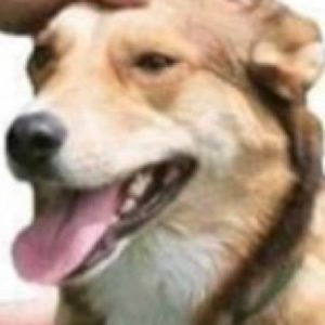 Meet your Posher, Carlos